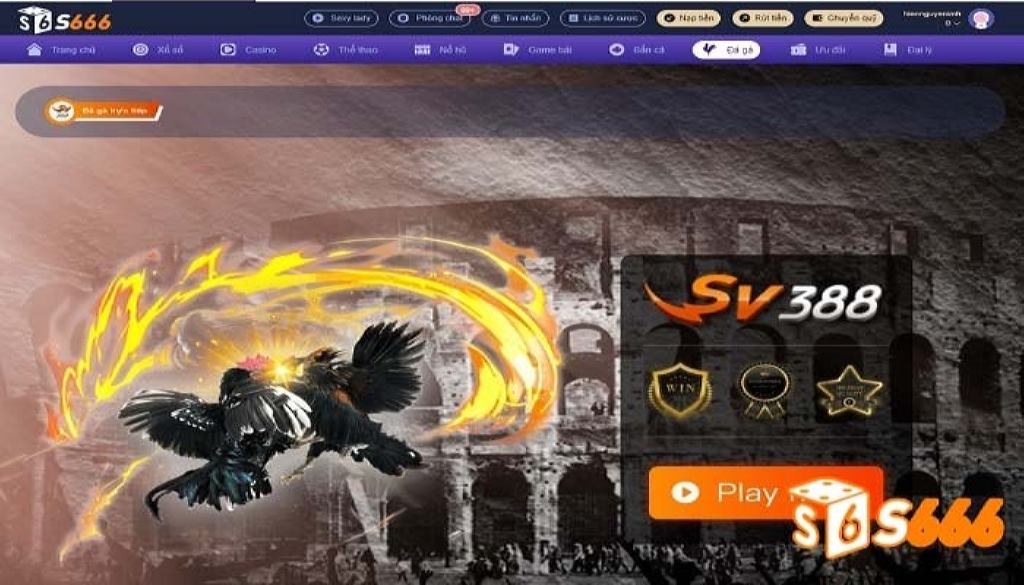 Đá gà S666 là sân chơi đẳng cấp, uy tín cho dân cá cược mê chiến kê