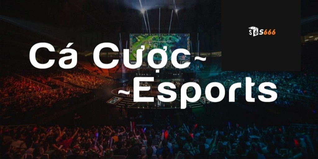 E-Sports S666 là mảng cá cược đang thu hút sự chú ý tại nhà cái
